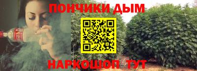 a pvp Можга