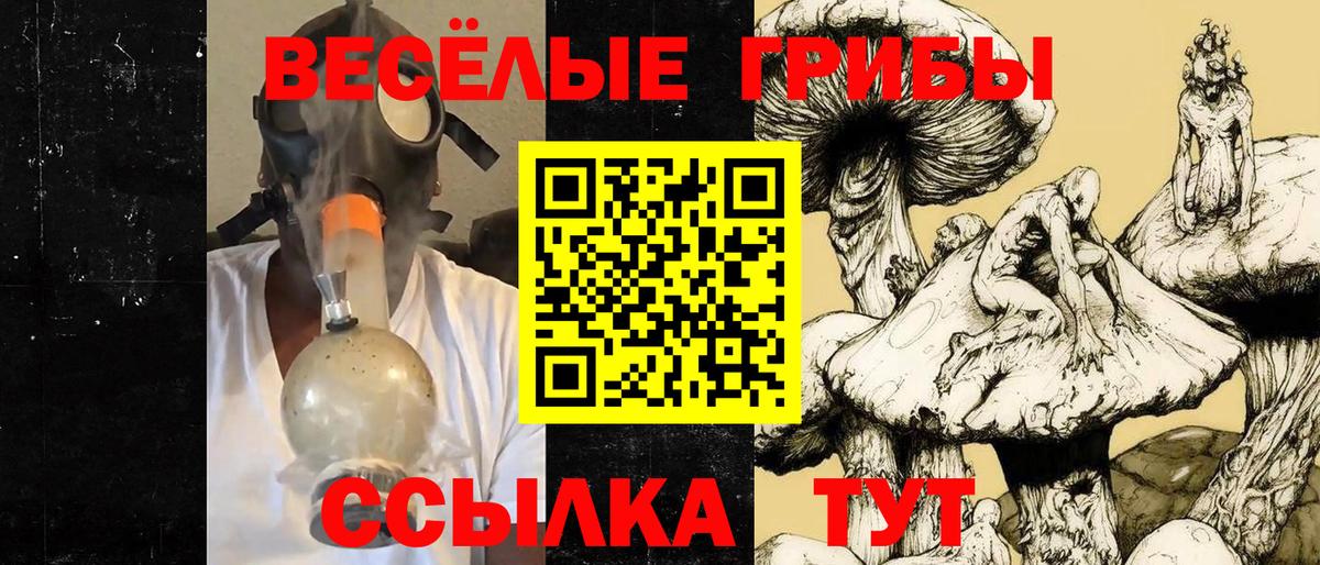 Галлюциногенные грибы MAGIC MUSHROOMS  Вход с VPN  Гусиноозёрск 
